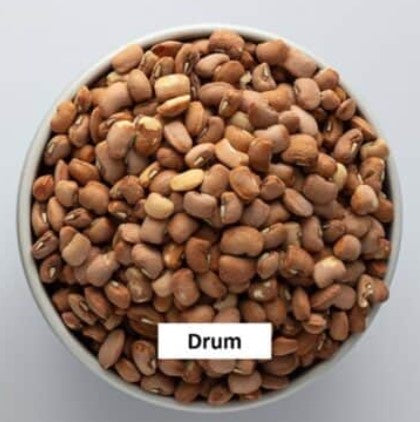 Brown Beans