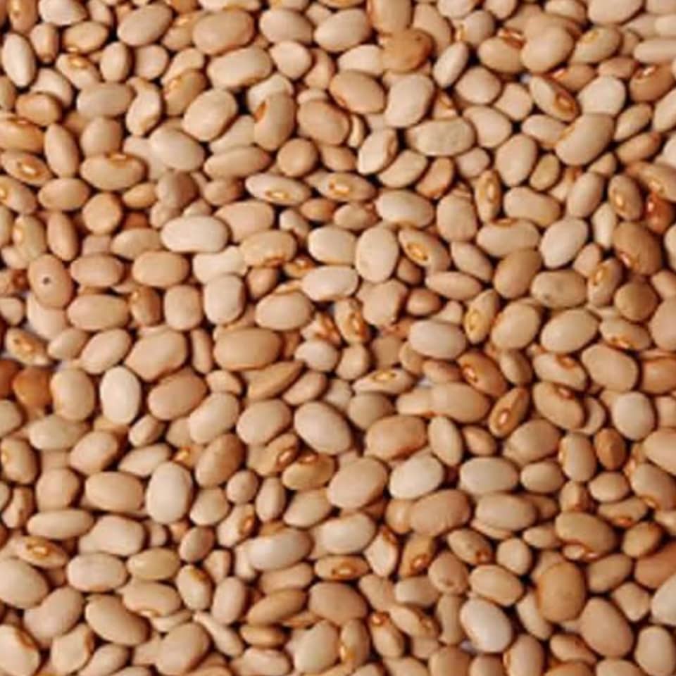 Honey Beans